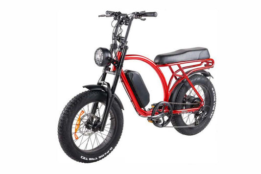 Bici Elettrica Ztech LEGACY 2.0 – ZT-86B 250w 48v 13ah velocità massima 25km/h autonomia 55 km