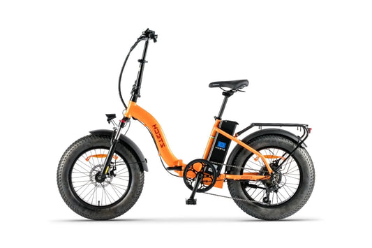 Bici elettrica ztech a pedalata assistita zt89E 250w 36v