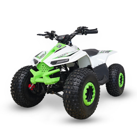 Quad  Lem Grizzly elettrico 750w