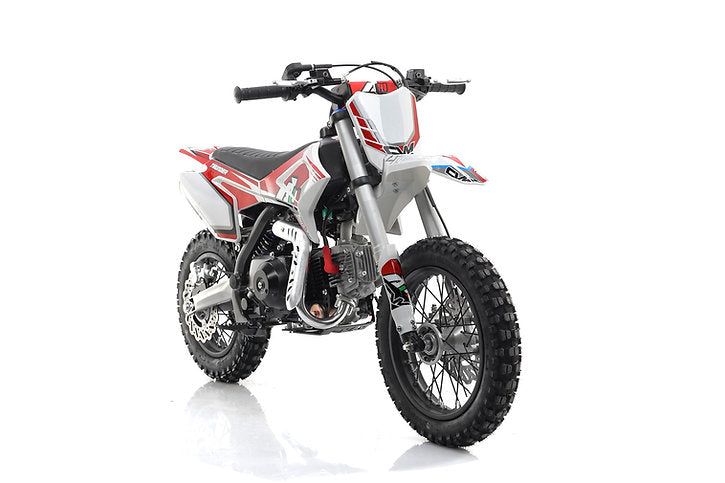 Pitbike Cvm moto Thunder 110cc Ruota 12/10 automatico