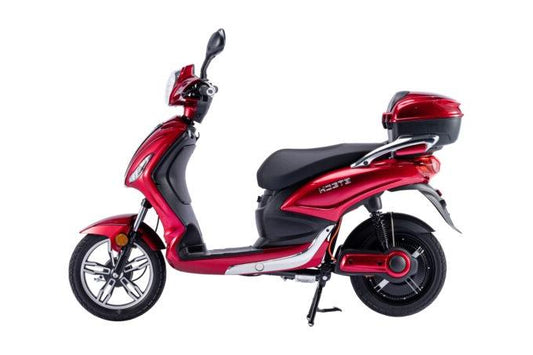Bici elettrica ztech zt-9 velocità massima 25km/h autonomia 30km 250W 48V