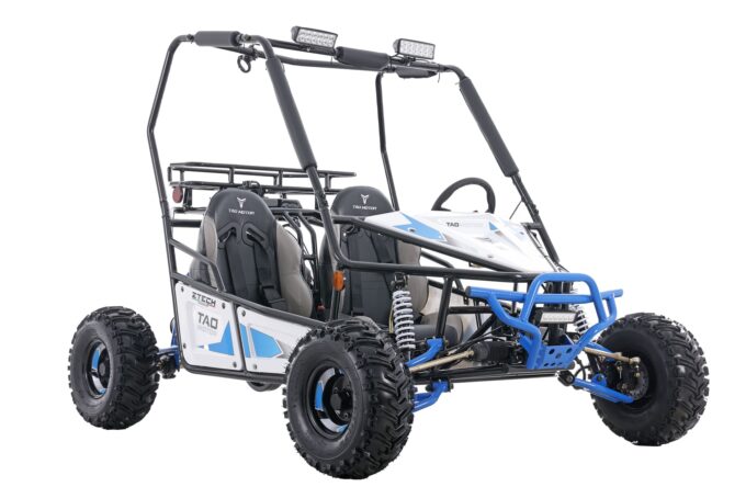 Buggy Triton