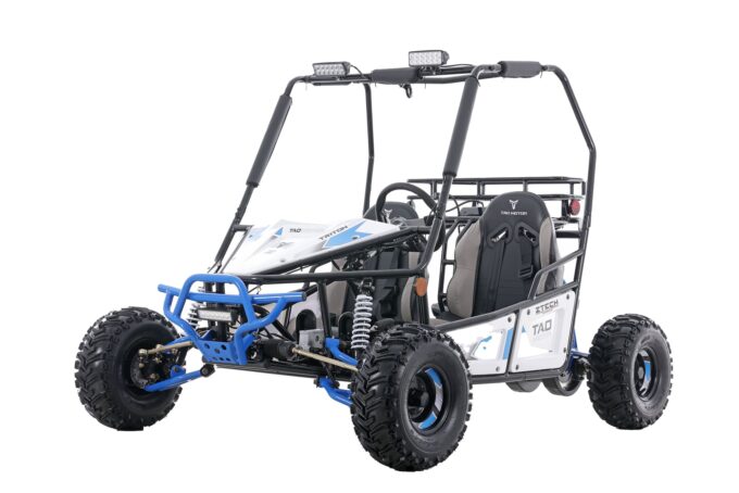 Buggy Triton