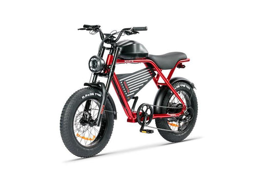 Bici Elettrica Ztech LEGACY 4.0 – ZT-75B 250w 48v 12,5ah velocità massima 25 kmh autonomia 55 km