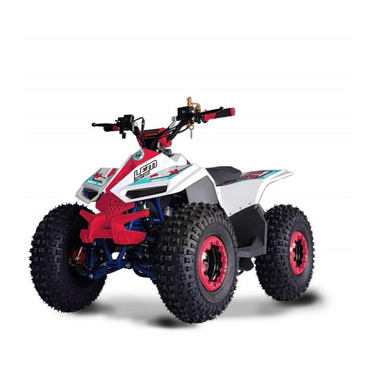 Quad Lem motors Grizzly 110cc 4T