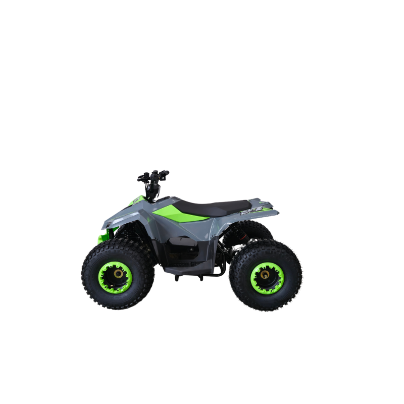 Quad  Lem Grizzly elettrico 750w