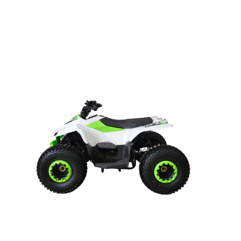 Quad  Lem Grizzly elettrico 750w