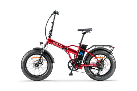 bici elettrica ztech a pedalta assistita zt-89F 36V 250W